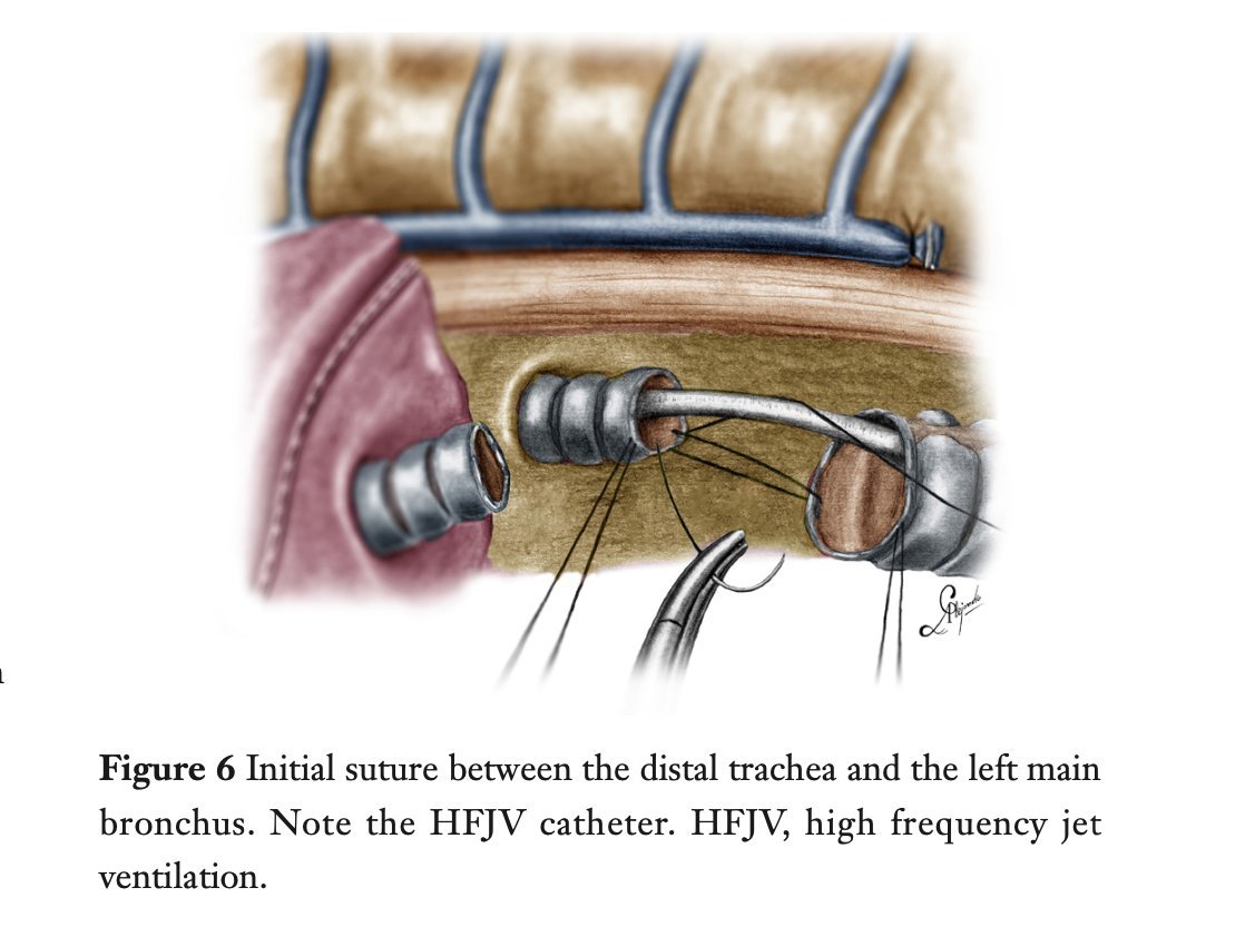 figure6.jpg